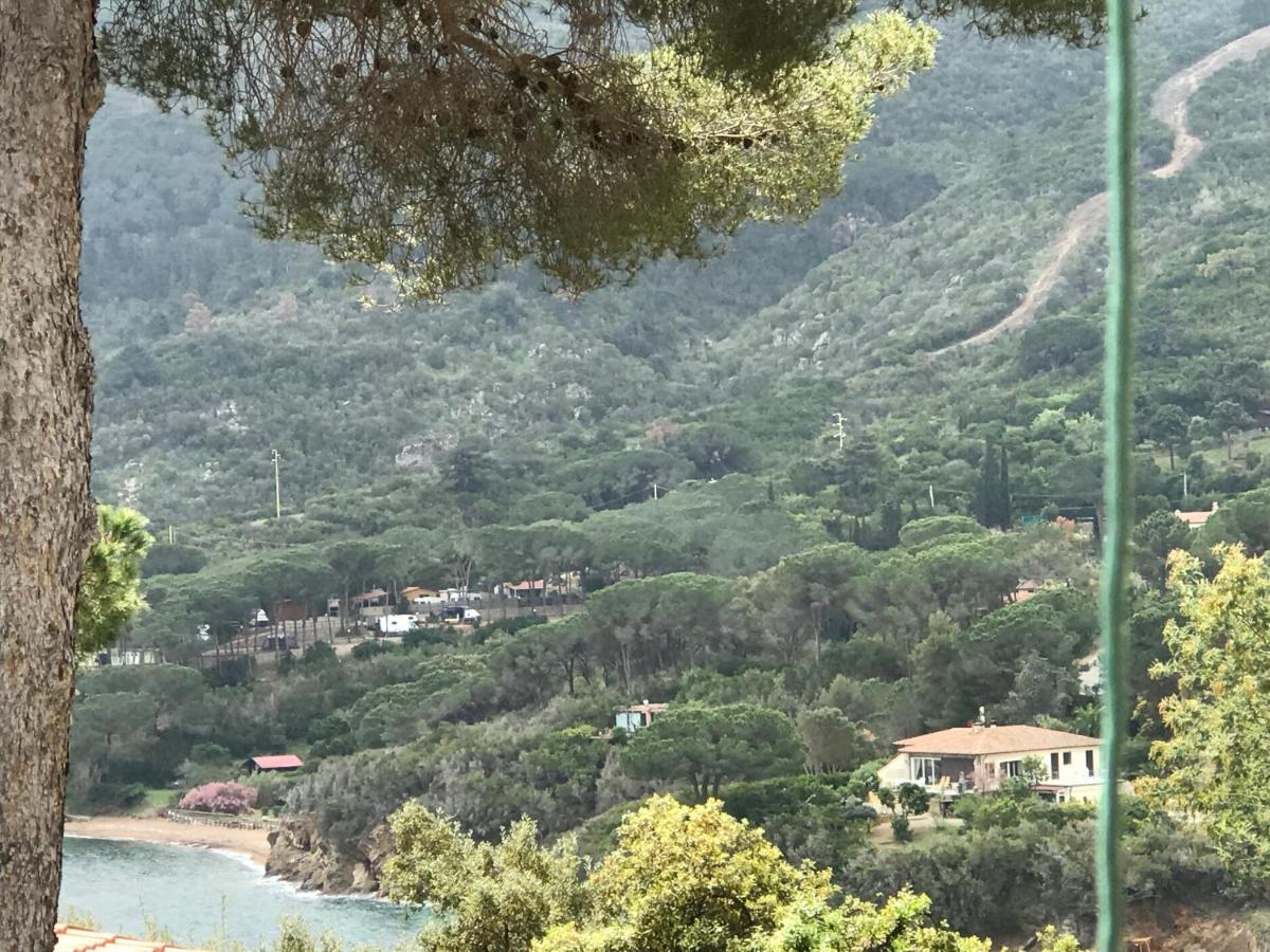 Suosogno Sul Mare 200Metri Dalla Spiaggia Capoliveri  Exterior foto